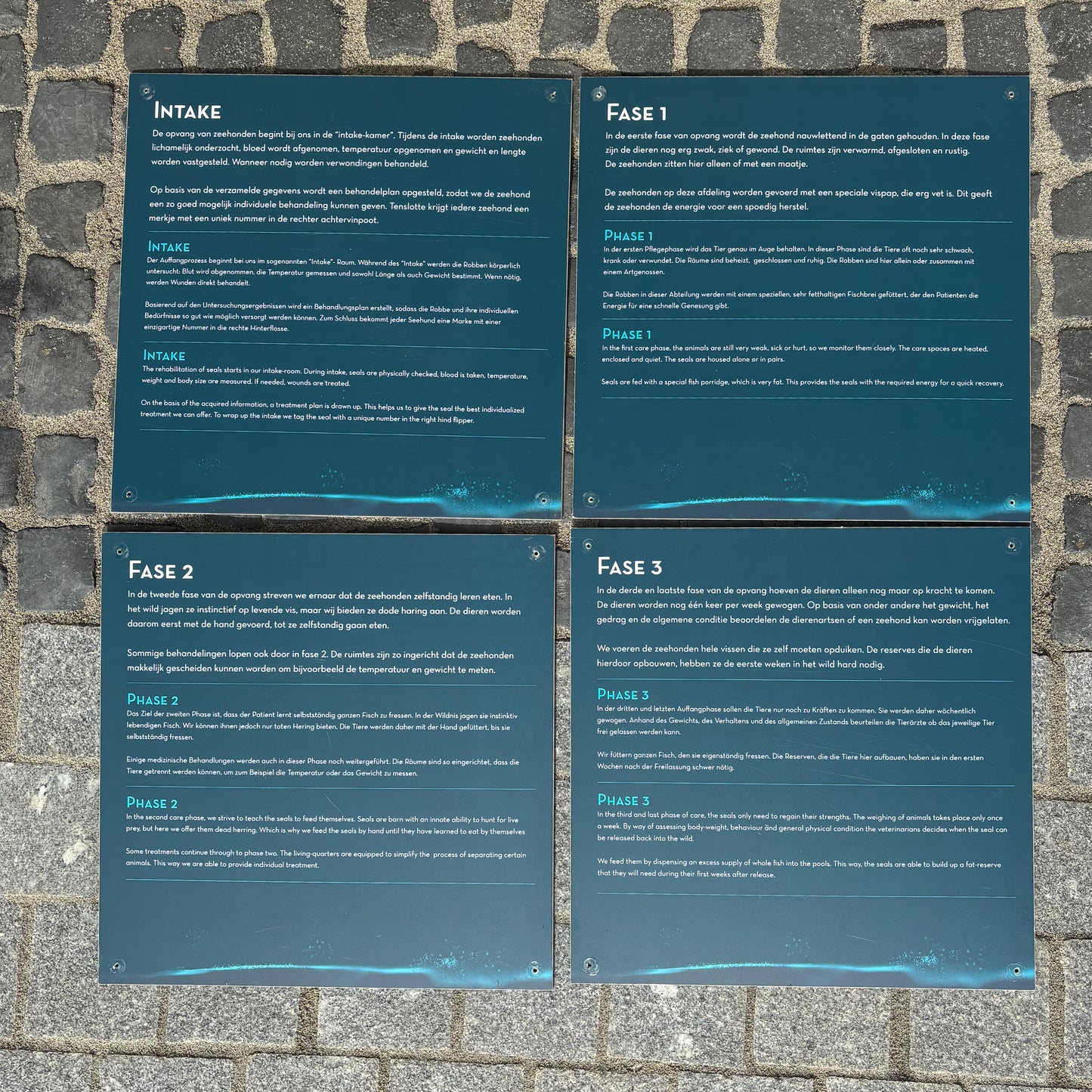 73. Four informational panels about the different phases