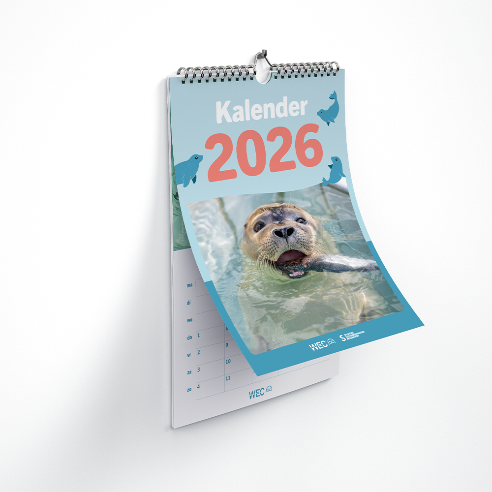 Zeehondenkalender 2026