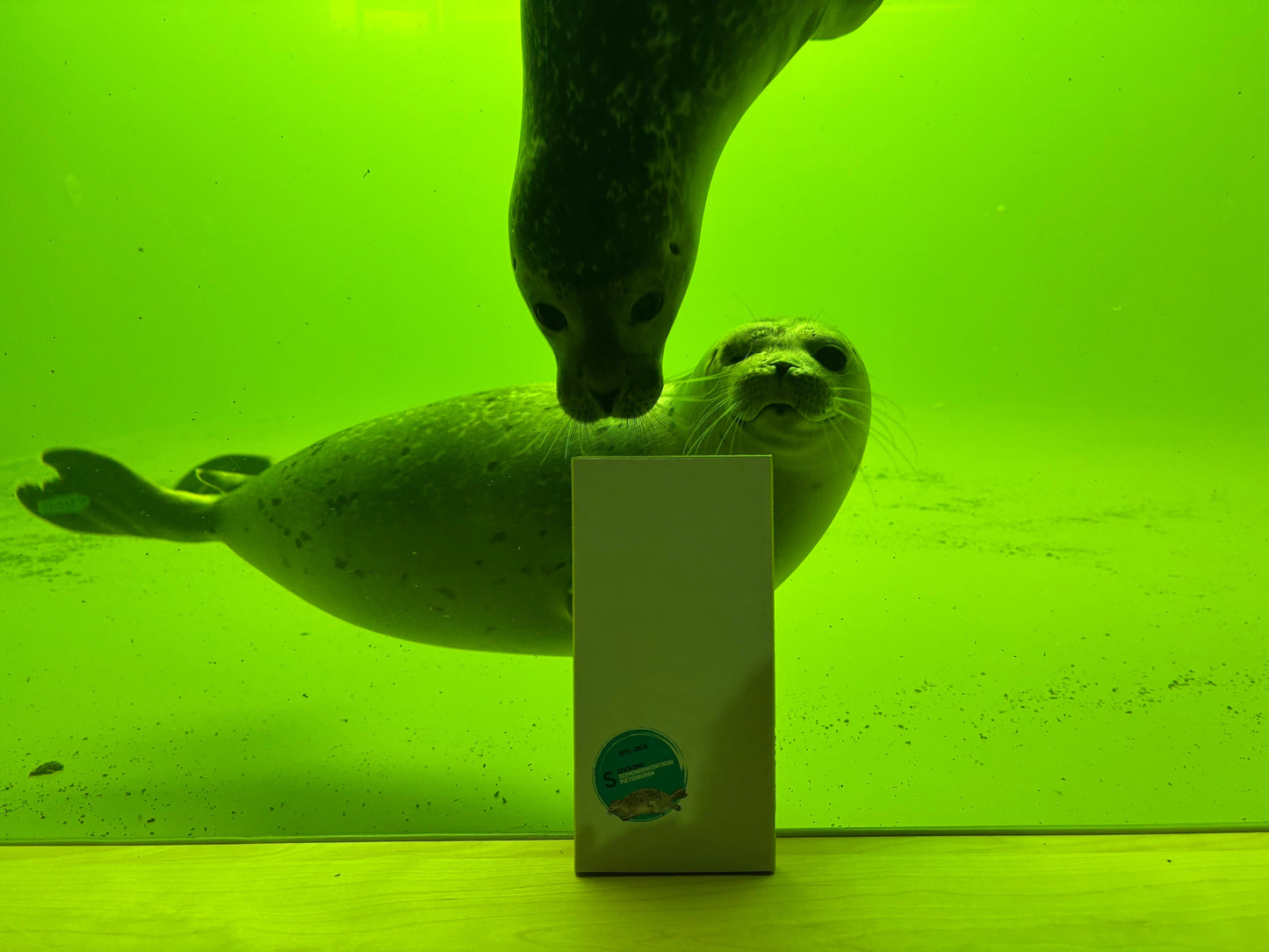 Afscheidsboek Zeehondencentrum Pieterburen + Pieterburentegel