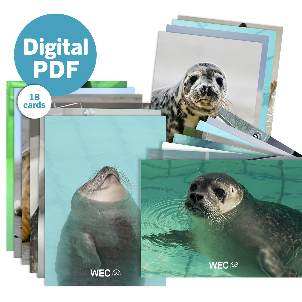 Digitale PDF: Set digitale fotokaarten