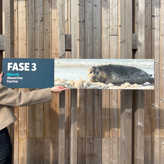 16. Fase 3 sign - Reigerbad
