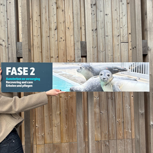 17. Phase 2 - Nieuwe badjes