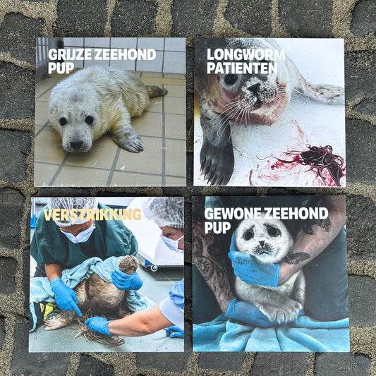 22. Explanation blocks seal care - 4 pieces