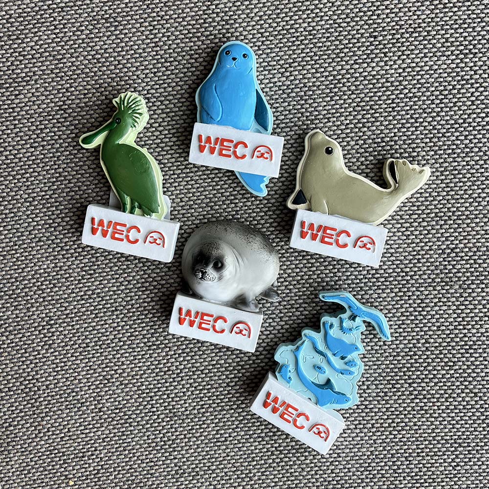 Bundel: 5 WEC magneten