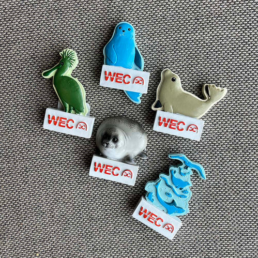 Bundel: 5 WEC magneten