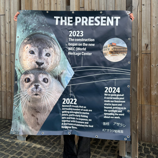 4. Timeline banner part 3 - the present
