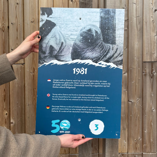 32. Timeline panel from the visitor centre, marking the year 1981