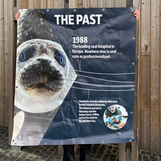 5. Timeline banner part 2 - the past