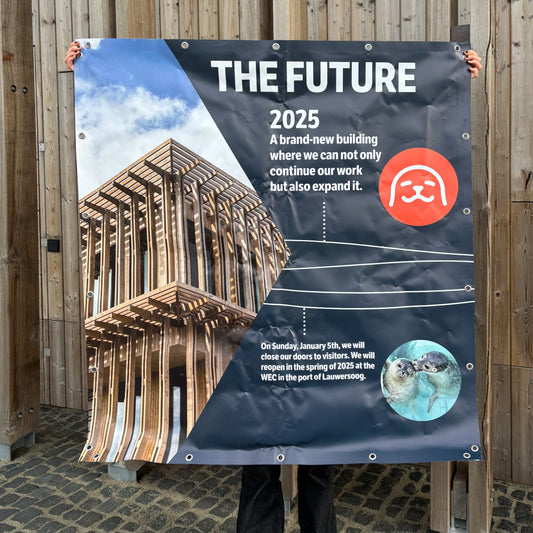 6. Timeline banner part 4 - the future