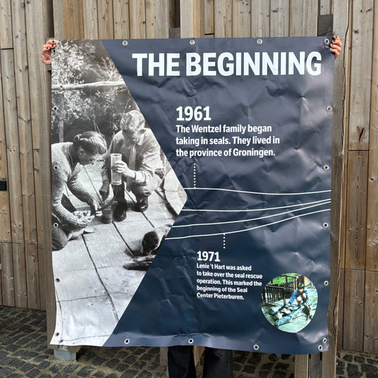 7. Timeline banner part 1 - the beginning