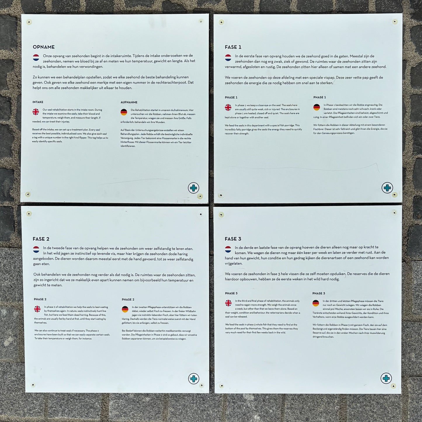 73. Four informational panels about the different phases