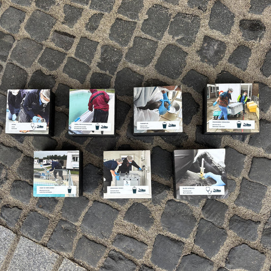 8. Explanation blocks seal care - 7 pieces