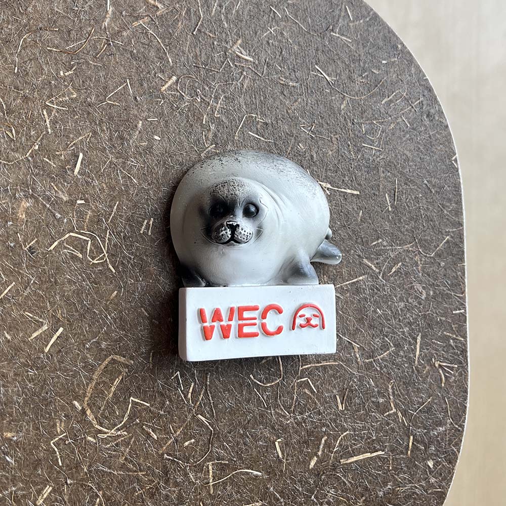Bundel: 5 WEC magneten
