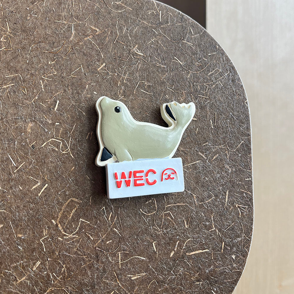 Bundel: 5 WEC magneten