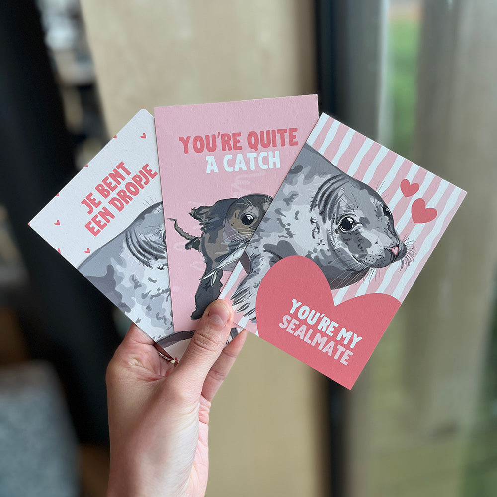 Bundel: 5 wenskaarten + 4 stickers