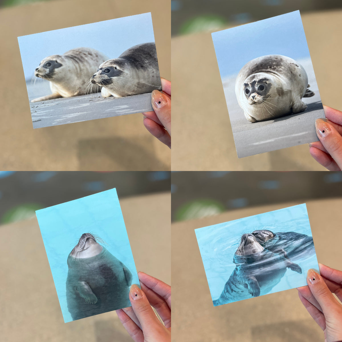 フォトカード10枚セット