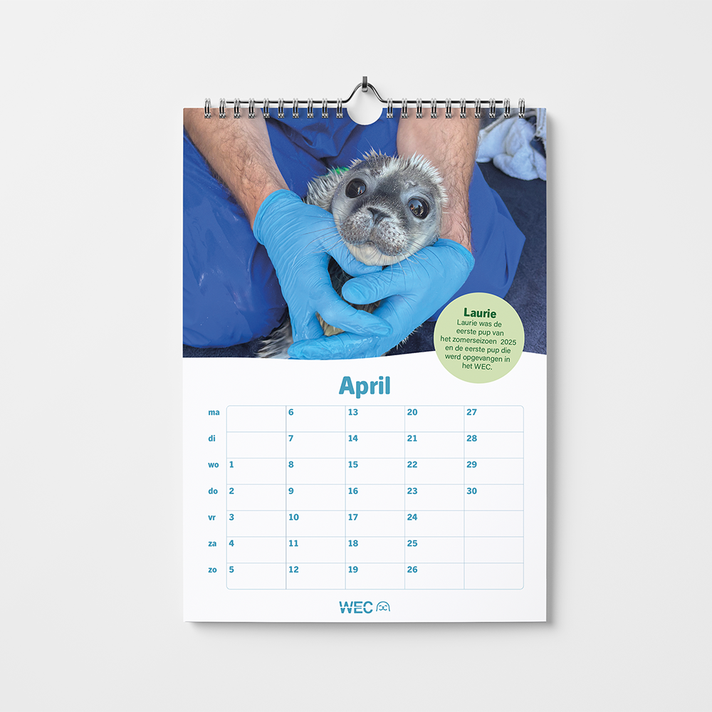 Zeehondenkalender 2026