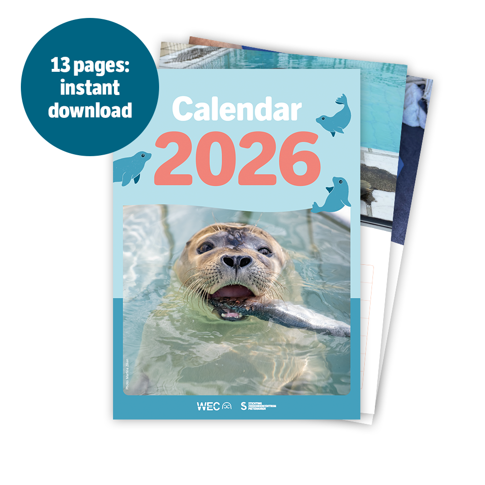 Seal calendar 2026 - Digital download