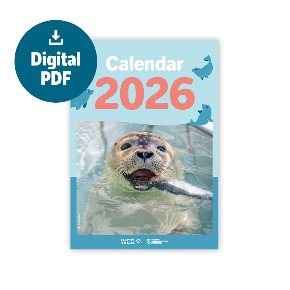 Seal calendar 2026 - Digital download