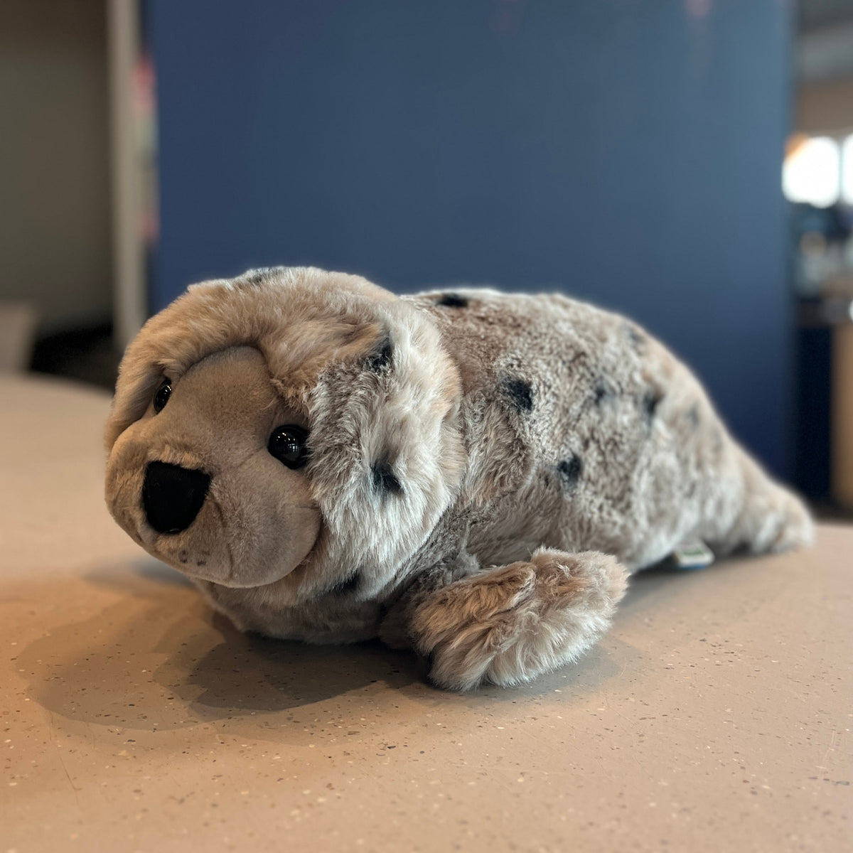 XL Grijze Zeehond Knuffel Karamatta