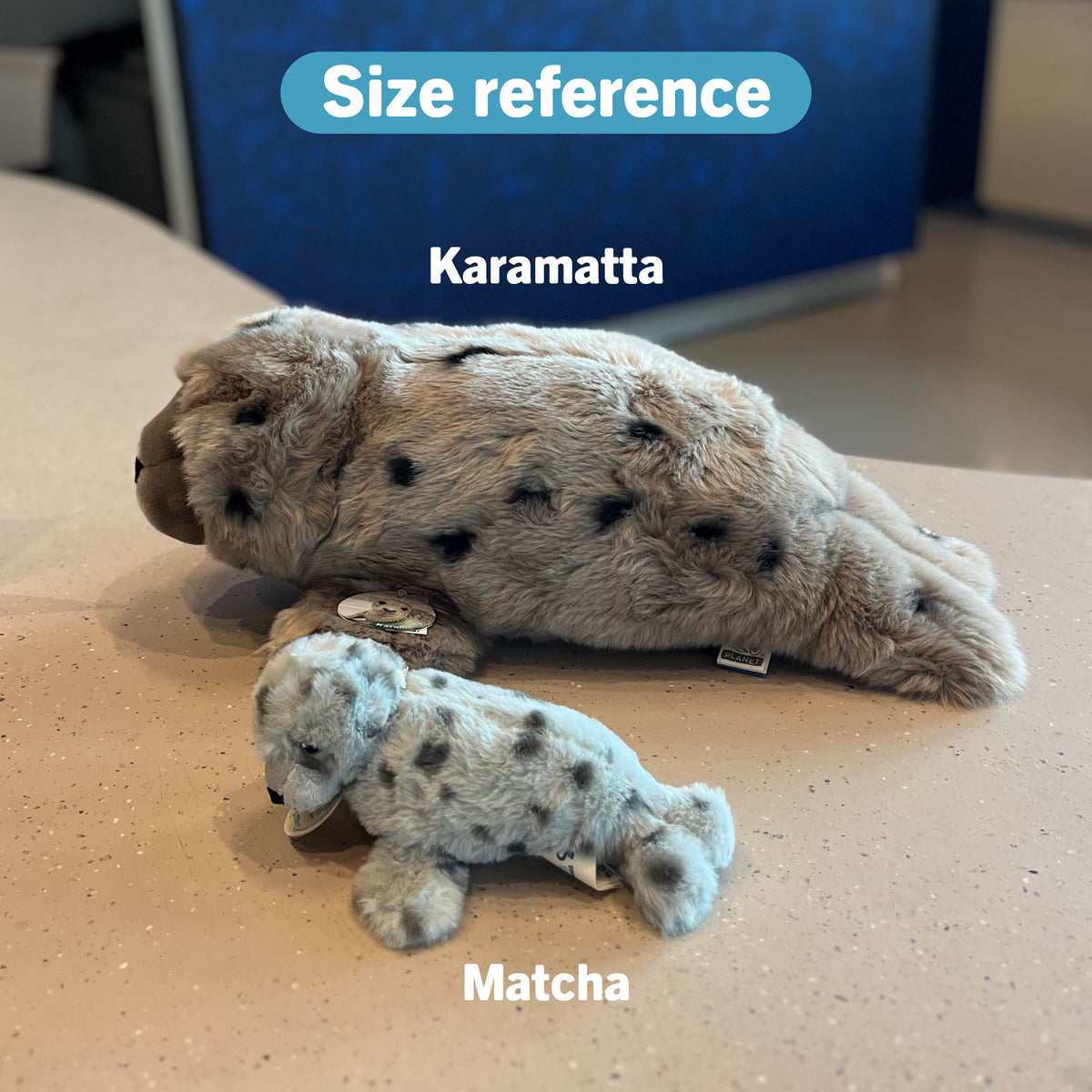 XL Grijze Zeehond Knuffel Karamatta