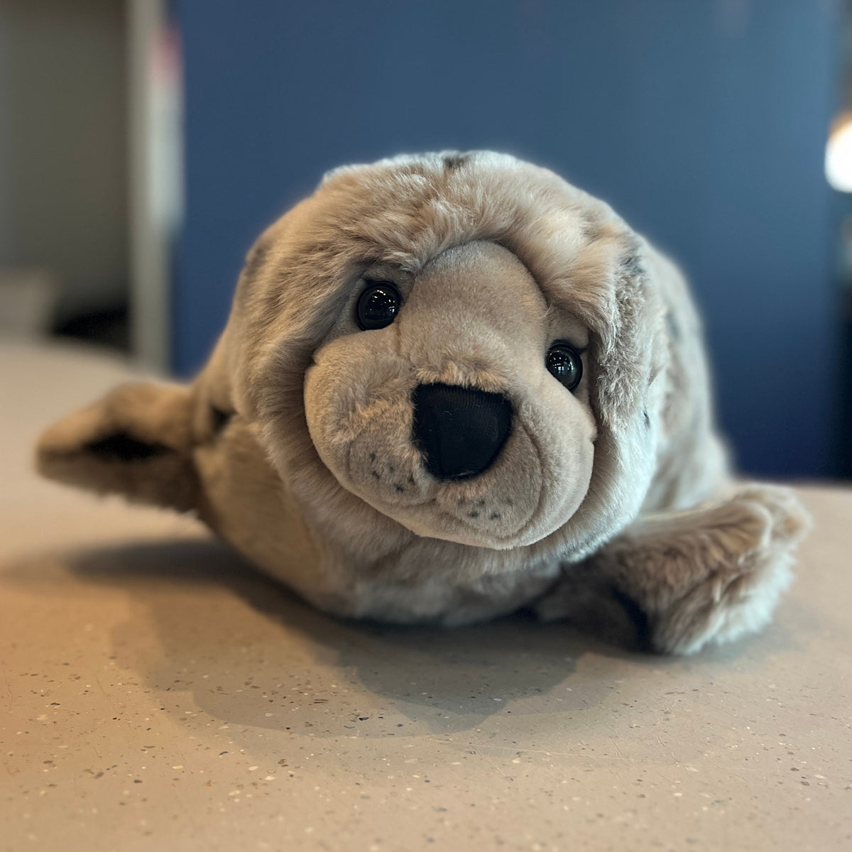 XL Grijze Zeehond Knuffel Karamatta