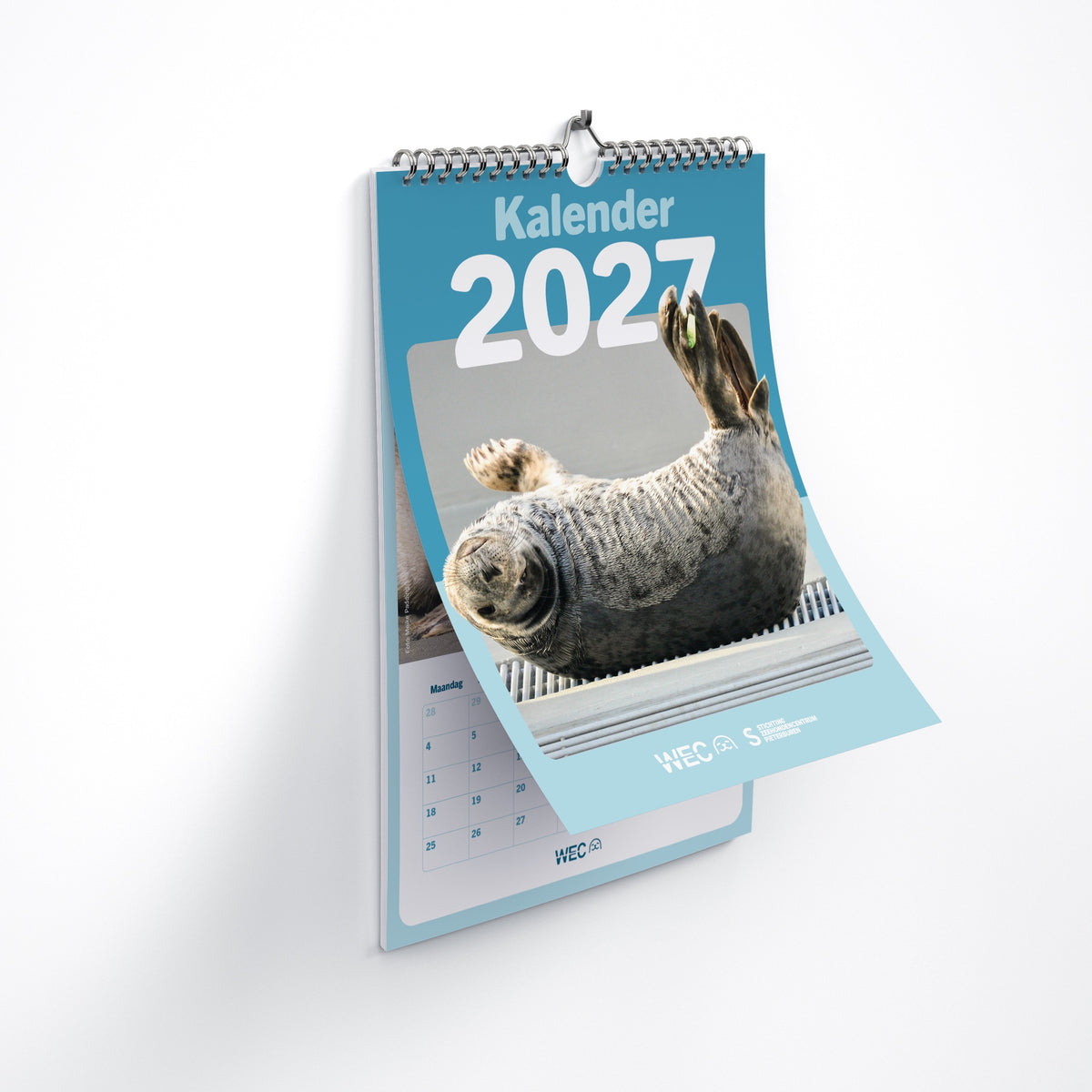 アザラシカレンダー2026