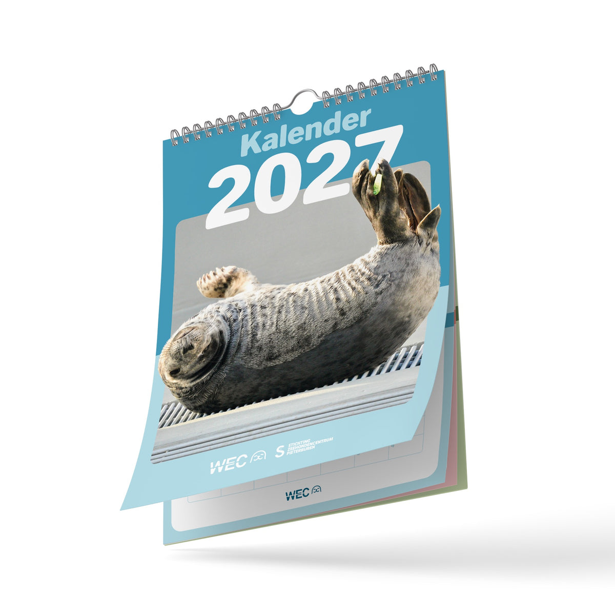 アザラシカレンダー2026