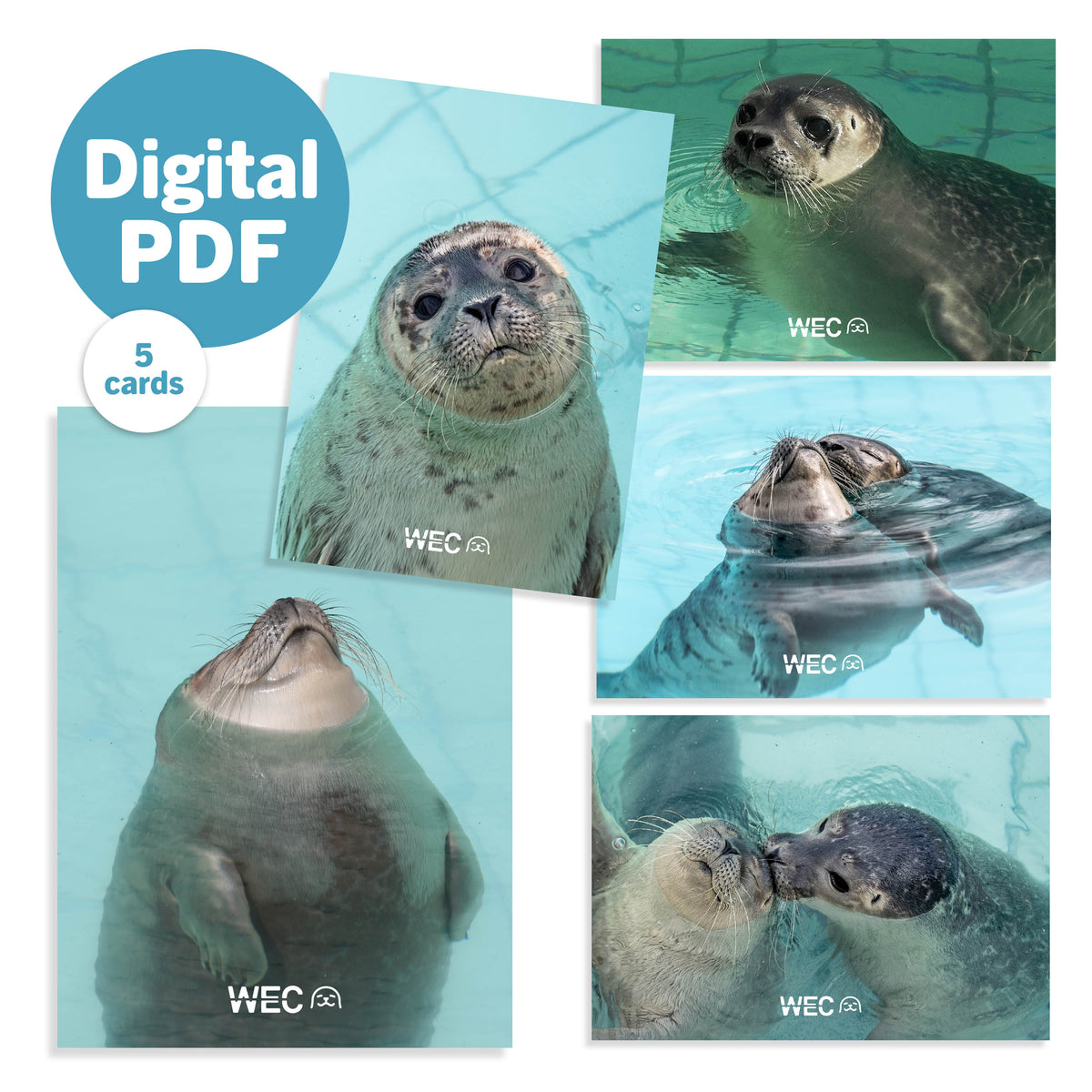Digitale PDF: Set digitale fotokaarten