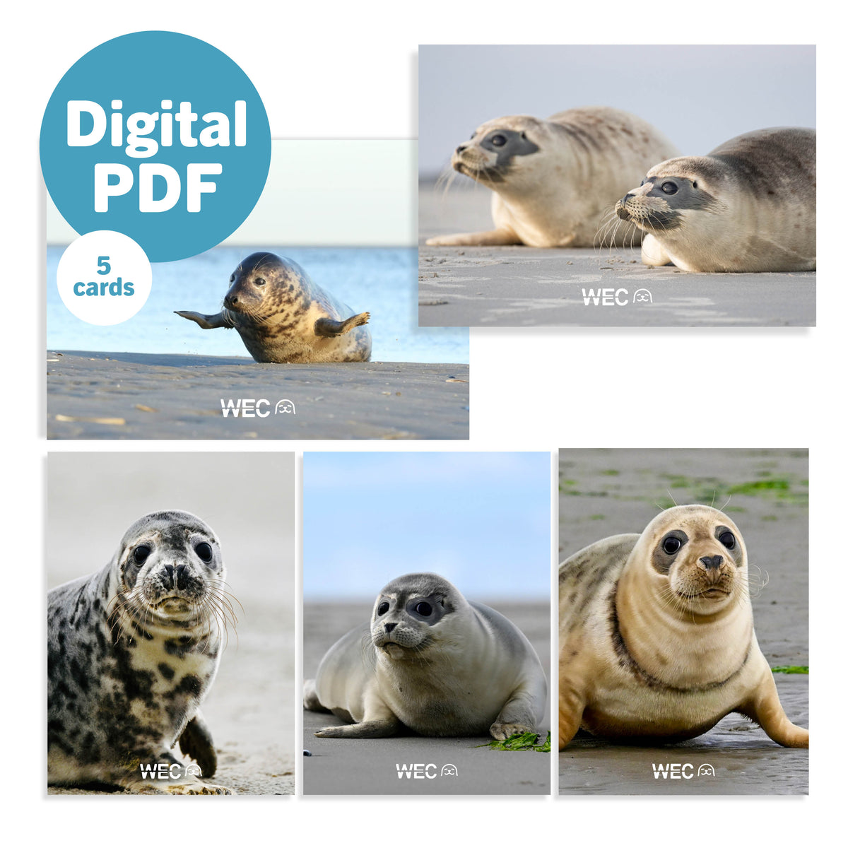 Digitale PDF: Set digitale fotokaarten