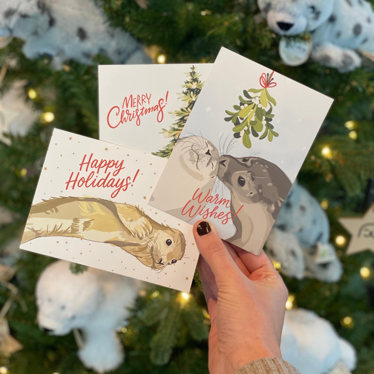 Set van 6 zeehonden kerstkaarten